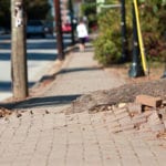 A tree root growing out of a sidewalk made of bricks.