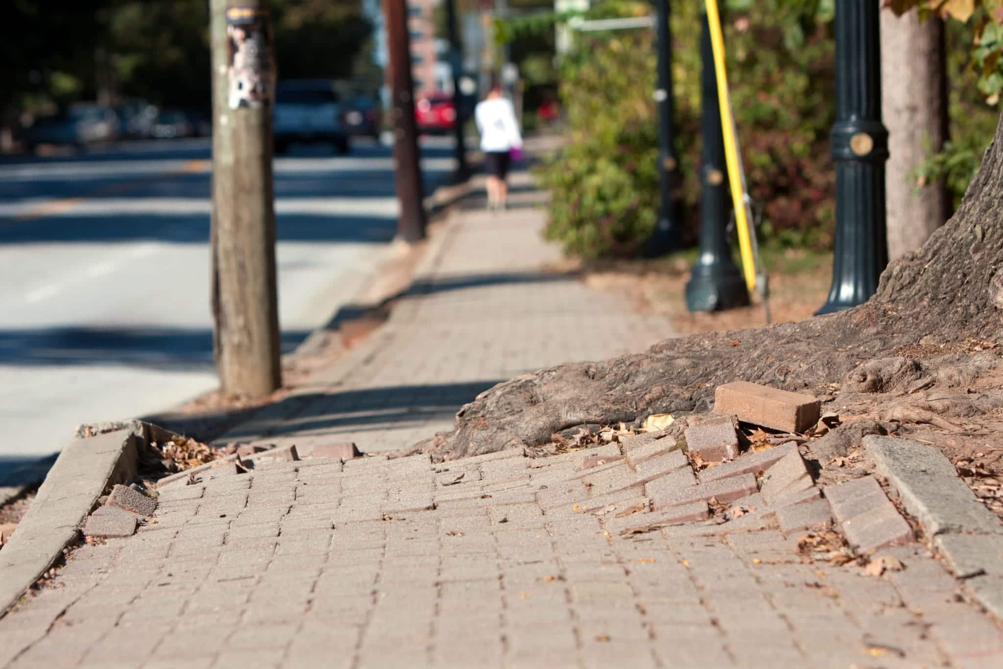 A tree root growing out of a sidewalk made of bricks.