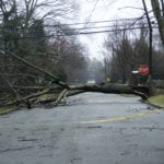 A tree lined neighborhood street on a cloudy day after a storm, there are no leaves on the trees and a large tree has snapped near the base of it's trunk and rests across the street making it impassable.