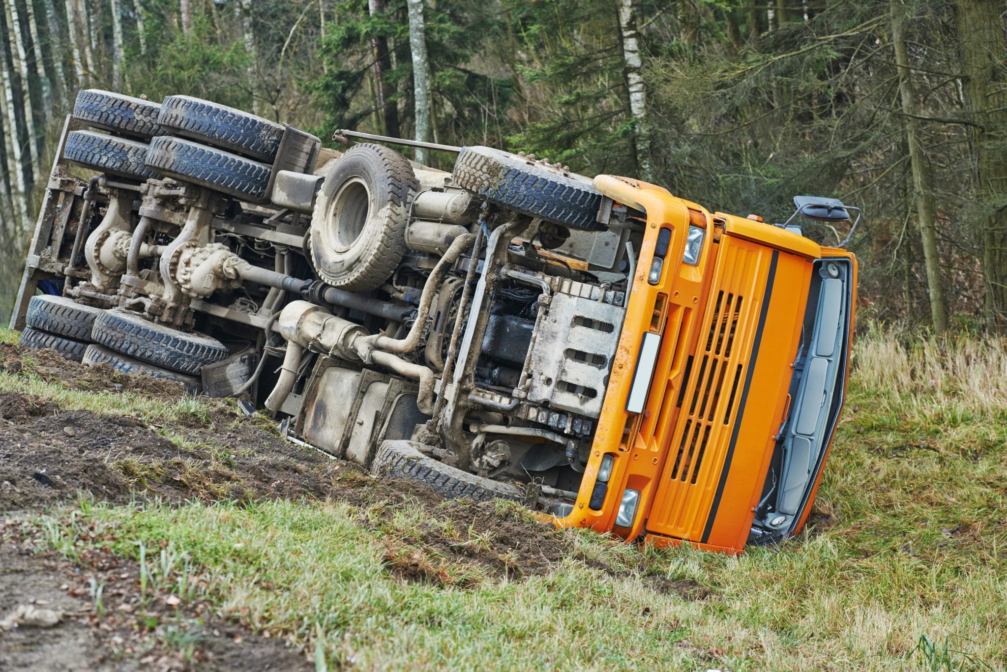 The bottom of a yellow school bus that had rolled off the road onto it's side in the grass, with woods in the background.