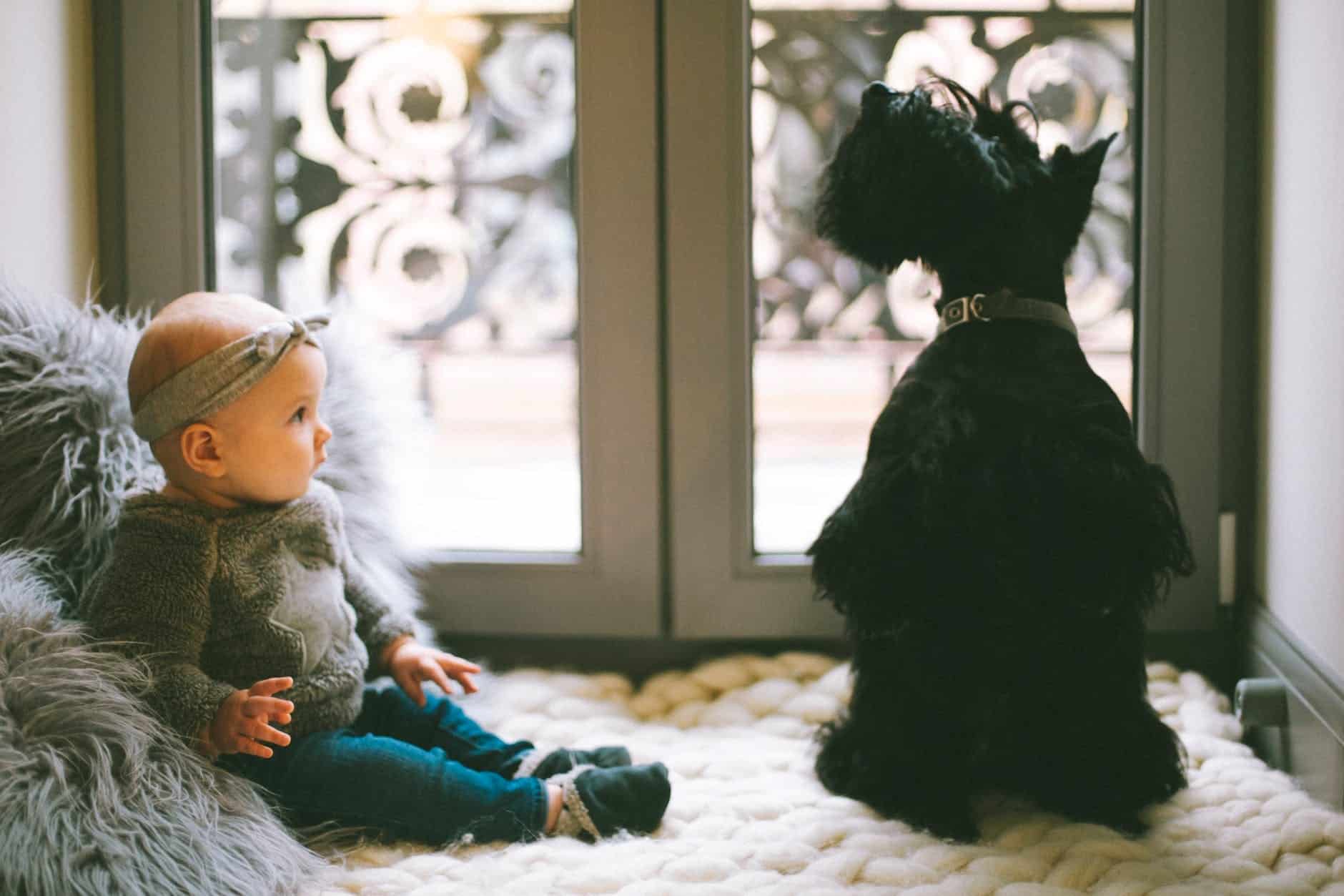 A baby sitting inside next to a dog, both are sitting in front of blurred our entry doors to a house.