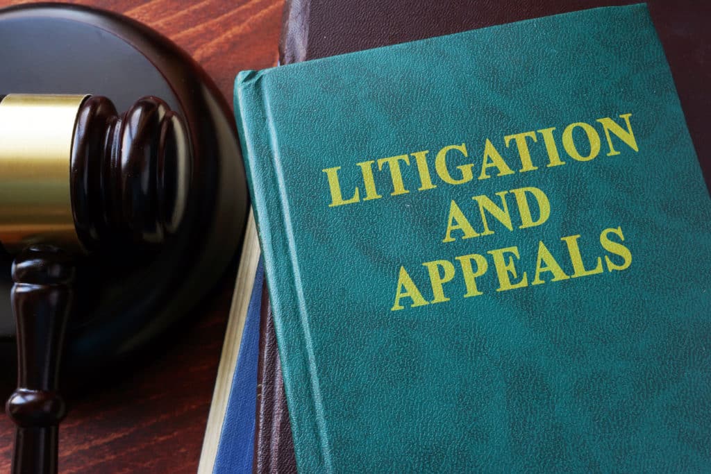 Litigation and appeals title on a book beside a gavel.