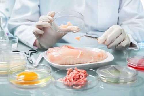 A food scientists with a white coat and gloves surrounded by petri dishes with raw eggs and meat.